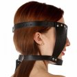 (image for) Bishop Head Harness