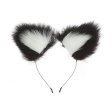 (image for) Fancy Headband With Feather Ear