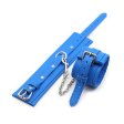 (image for) Blue Pin Locked Handcuffs