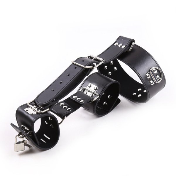 (image for) Neck To Locking Wrist Restraint