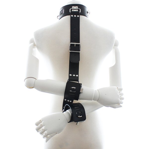 (image for) Neck To Locking Wrist Restraint