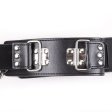(image for) Neck To Locking Wrist Restraint