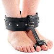 (image for) Leather Ankle & Toe Restraint