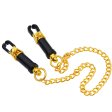 (image for) Nipple Clamps