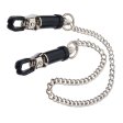 (image for) Nipple Clamps