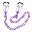 (image for) Nipple Clamps with Removable Chain