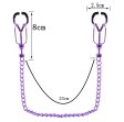 (image for) Nipple Clamps with Removable Chain