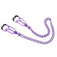 (image for) Nipple Clamps with Removable Chain