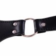 (image for) Male Chastity Harness With Penile Straps