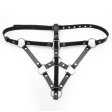 (image for) Lesbian Strap on Panty With Front Ring