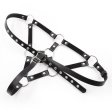 (image for) Lesbian Strap on Panty With Front Ring