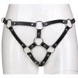 (image for) Lesbian Strap on Panty With Front Ring