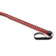 (image for) The Master Whip