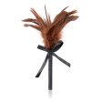 (image for) Frisky Feather Duster With Bow