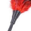 (image for) Frisky Feather Duster
