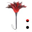 (image for) Frisky Feather Duster