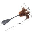 (image for) Sex Feather Slapper