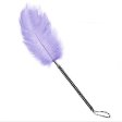 (image for) Playful Feathers Tickler