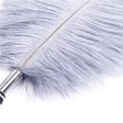 (image for) Playful Feathers Tickler