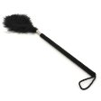(image for) Playful Feathers Tickler