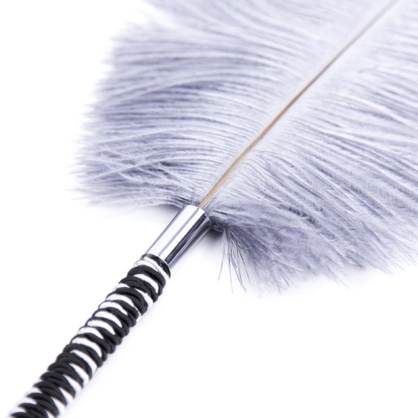 (image for) Playful Feathers Tickler