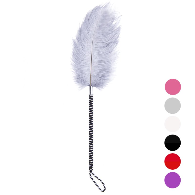 (image for) Playful Feathers Tickler