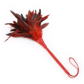Feathers Tickler