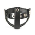 (image for) Strict Leather Snap-On Cock and Ball Harness