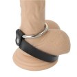 (image for) Sigle Layer Steel Cock and Ball Ring