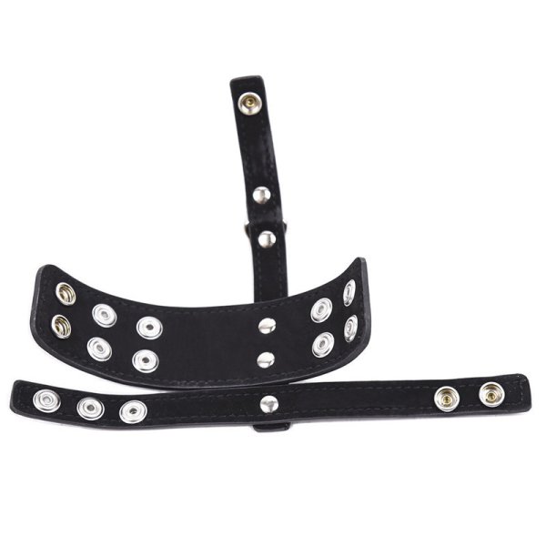 (image for) Leather Cock Ring & Ball Divider