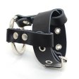 (image for) Locking Cock and Ball Ring