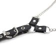 (image for) Nipple Clamps & Cock Ring Set