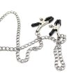 (image for) Nipple Clamps & Cock Ring Set