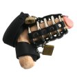 (image for) Strict Leather Gates of Hell Chastity