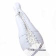 (image for) Kinky Female Mermaid Bondage Half Body Leg Binder