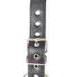 (image for) Leather Full Body Harness with Cock Ring