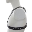 (image for) Deluxe Leather Chest Harness