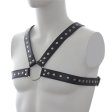 (image for) Leather Harness with Stud Detailing