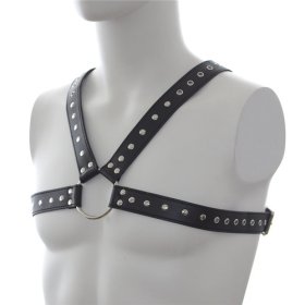 Leather Harness with Stud Detailing