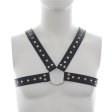 (image for) Leather Harness with Stud Detailing