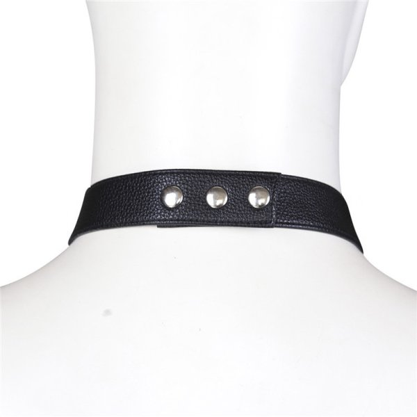(image for) Male Chastity Panties With Harness
