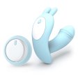 (image for) Little Dance Strap-on vibrator