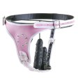 (image for) Lesbian Strap On Dildo