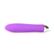 (image for) Bella Vibrator