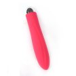 (image for) Bella Vibrator