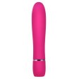 (image for) R-pleasure Magic Vibrator