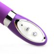 (image for) Wild Flirt Dildo Vibe