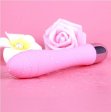 (image for) V5 CiCi Vibrator