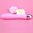 (image for) V5 CiCi Vibrator