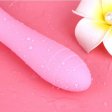 (image for) V5 CiCi Vibrator